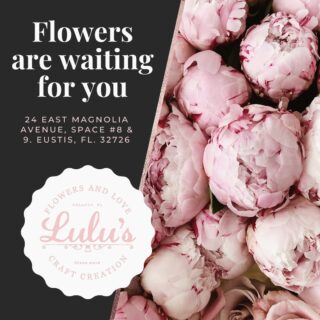 Fresh flowers just arrived 🌷
Our shop is full of seasonal blooms, hand-selected and designed fresh daily. Stop by today or order online to bring home something beautiful.

📍 Visit our local flower shop
🌸 Fresh flowers | Seasonal arrangements | Floral design
#FreshFlowers #FlowerShop #LocalFlorist #NewArrivals #SeasonalBlooms #ShopLocal