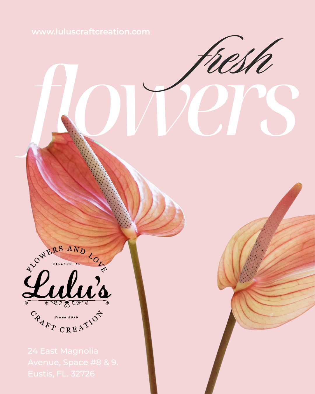 Designed with care. Made to be enjoyed. 🌼
We’re a local flower shop creating fresh, modern floral designs using the best blooms of the season. Come visit us and see what’s new.

📍 Stop by today
🌷 Fresh blooms | Floral design | Neighborhood florist
#FlowerDesign #LocalFlorist #ShopSmall #FreshBlooms #FloralStudio