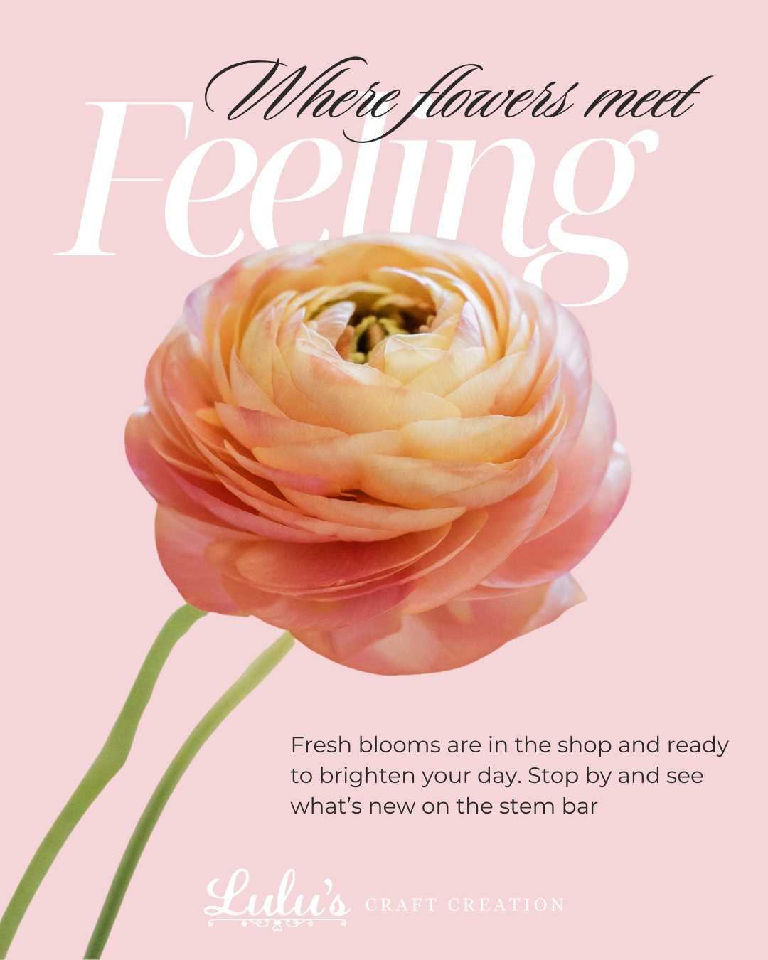 Fresh flowers just arrived 🌷
Our shop is full of seasonal blooms, hand-selected and designed fresh daily. Stop by today or order online to bring home something beautiful.

📍 Visit our local flower shop
🌸 Fresh flowers | Seasonal arrangements | Floral design
#FreshFlowers #FlowerShop #LocalFlorist #NewArrivals #SeasonalBlooms #ShopLocal