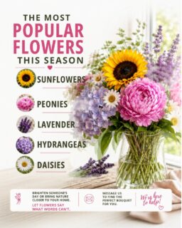 Bring a little more beauty into your day with the season’s favorite blooms. 🌸✨ Fresh flowers, natural colors, and moments that feel unforgettable.

#LulusCraftCreation#EustisFlorist#LuxuryFlowers#EustisFL#FreshFlowers #FlowerLovers #SeasonalFlowers #BloomSeason #NaturalBeauty #FloralDesign #Peonies #Sunflowers #Hydrangeas #LavenderLove #FloralInspiration #FlowerArrangement #SpringVibes #SummerBlooms #FlowersOfInstagram