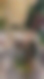 A whisper of elegance in pure white 🤍✨
This bespoke arrangement brings together the timeless beauty of roses, the graceful charm of lilies, and the delicate innocence of daisies—each bloom chosen to create harmony, softness, and light.

A floral piece that speaks of serenity, love, and quiet sophistication… where every petal tells a story.

#WhiteFlowers #FloralDesign #FlowerArrangement #ElegantFlowers #RosesAndLilies DaisyLove AllWhiteEverything FloralArt BloomWithGrace LuxuryFlowers FreshFlowers FlowerReel ArtInBloom SoftAesthetic FloralInspiration