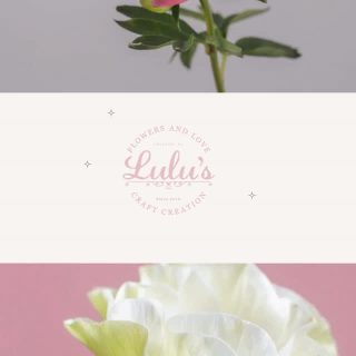 Embrace the Beauty of the Season with Lulu’s Craft Creation 🌸

There is a unique melody in every bloom. From the vibrant pinks of spring peonies to the delicate elegance of white anemones, we believe flowers are more than just a gift—they are a feeling.

Whether you’re celebrating a special milestone or simply want to brighten your home, our floral designs are crafted with love and a touch of magic. 🌿✨

Visit us at our Eustis studio to see what’s blooming today, or browse our latest collections online. Let’s make something beautiful together!

📍 Find us: 24 East Magnolia Avenue, Space #8 & 9, Eustis, FL 32726
💻 Shop online: www.luluscraftcreation.com
💌 Contact: contact@luluscraftcreation.com

#LulusCraftCreation #EustisFlorist #FloridaFlowers #FloralDesign #CustomBouquets #FlowerShopFlorida
#SpringMelody #PeonySeason #FloralArtistry #ModernFlorist #BloomingNow #FlowerMagic
#EustisFL #LakeCountyFL #MountDoraFlorist #CentralFloridaSmallBusiness #ShopLocalEustis
