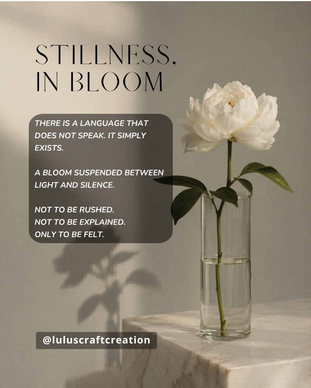 Where everything seems to pause, life quietly continues its secret work. In that stillness, something gentle begins to unfold—soft, unhurried, and almost invisible. And just like that, beauty finds its way into silence and starts to bloom.

#StillnessInBloom #AestheticVibes #PoeticLife #QuietMoments #InnerStillness #SoftAesthetic #Blooming #MindfulLiving #SerenityInMotion #SlowLiving #NatureInspired #SilentBeauty