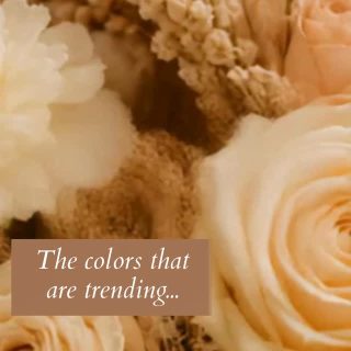 ✨ Beauty lies in the details.

Butter, nude, and earthy tones have become the signature palette of the most sophisticated floral designs. Their harmonious blend brings warmth, elegance, and a timeless charm that elevates any space or special occasion.

Trends may come and go, but natural beauty never fades. 🤍🌾

Which of these tones would you choose for your next bouquet?

#Florist #FloralDesign #LuxuryFlowers #BouquetInspiration #NeutralAesthetic #EarthTones #ButterYellow #NudePalette #ElegantFlowers #FlowerArrangement #WeddingFlowers #EventDecor #FreshFlowers #FlowerLovers #FloralStyling #HomeDecor #NatureInspired #TimelessElegance #FlowerShop #BloomWithStyle#EustisFlorist#EustisFlorida